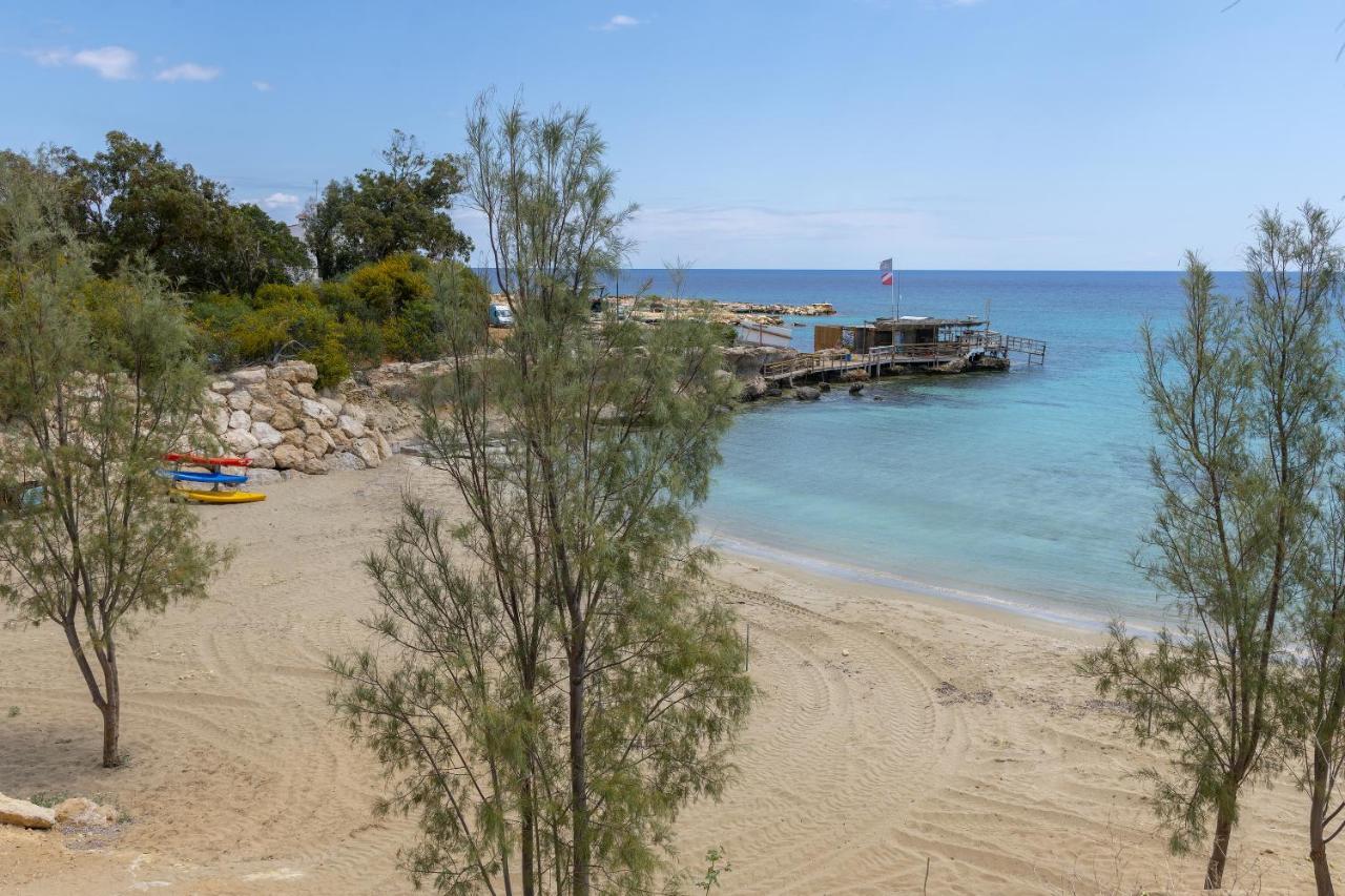 Protaras Nisia Seaside Villa 外观 照片